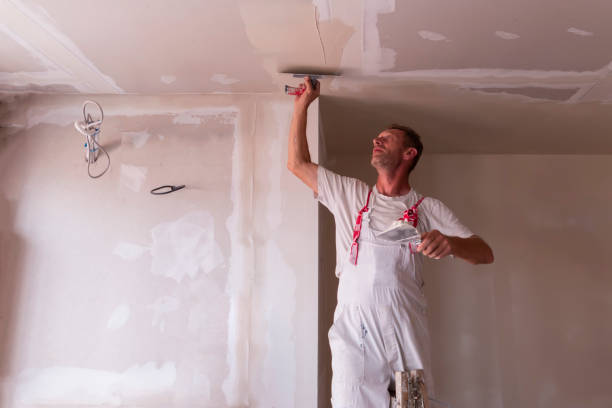 Best Fire-Damaged Drywall Repair  in New Eagle, PA